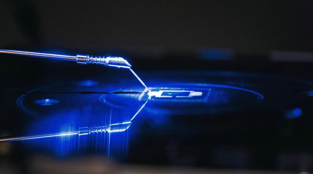 1769392227649498.jpg 1769392227649498.jpg