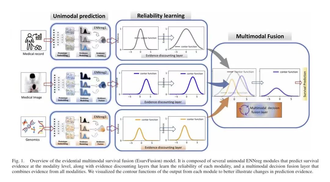 1774235868760028.jpg 1774235868760028.jpg