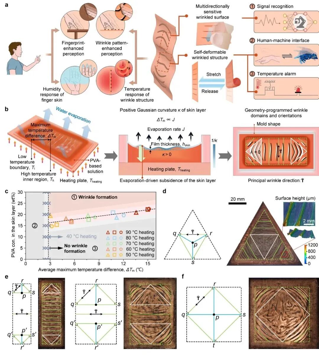 1775027136425878.jpg 1775027136425878.jpg