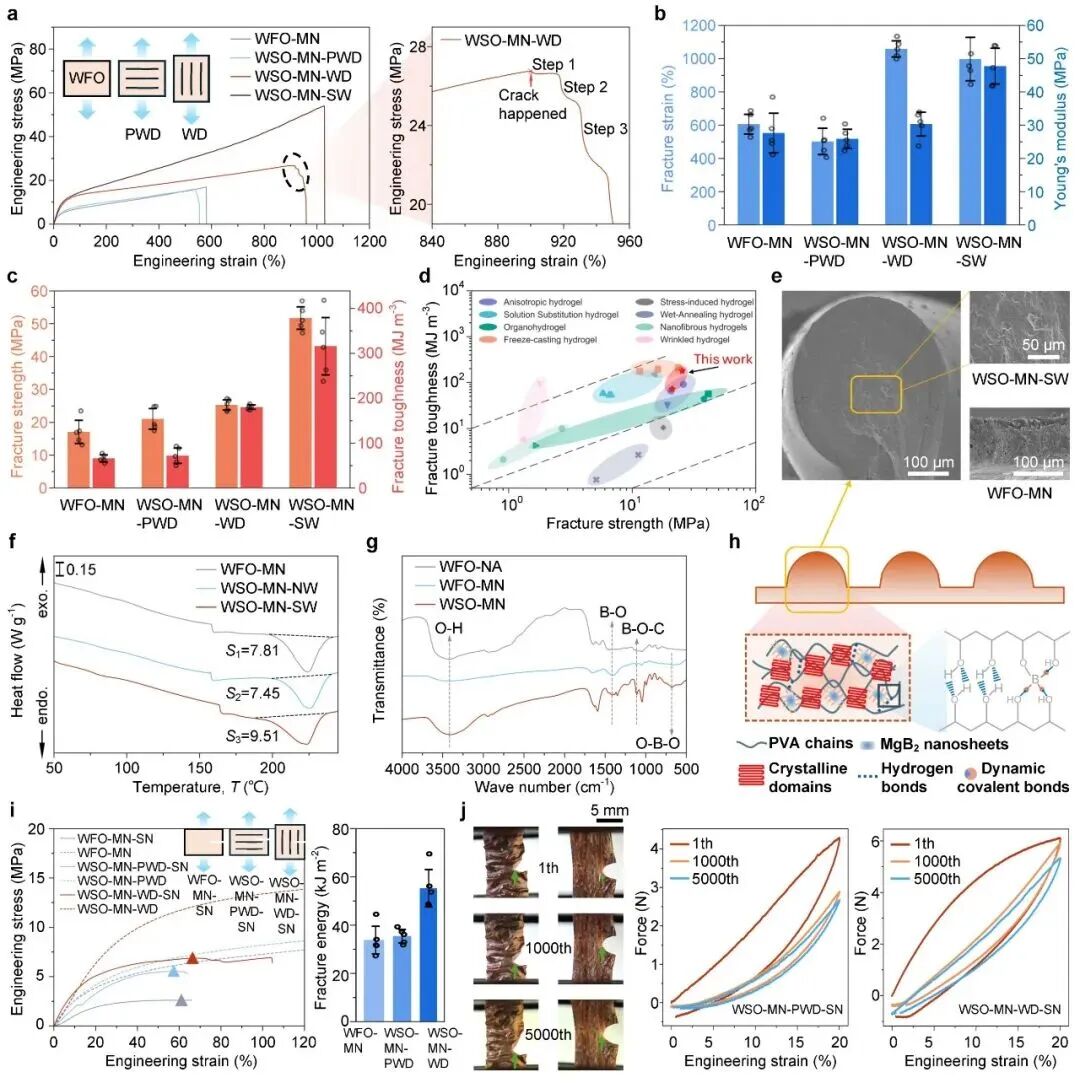 1775027198277125.jpg 1775027198277125.jpg